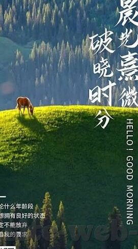 森林舞会无限金币53-森林舞会，一场关于自然与文化的无限探索